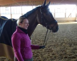 dressage horse San Patriano (Westphalian, 2008, from San Remo)