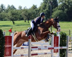 jumper Captain Jack W (Zweibrücker, 2009, from Fbw Cassius Clay)