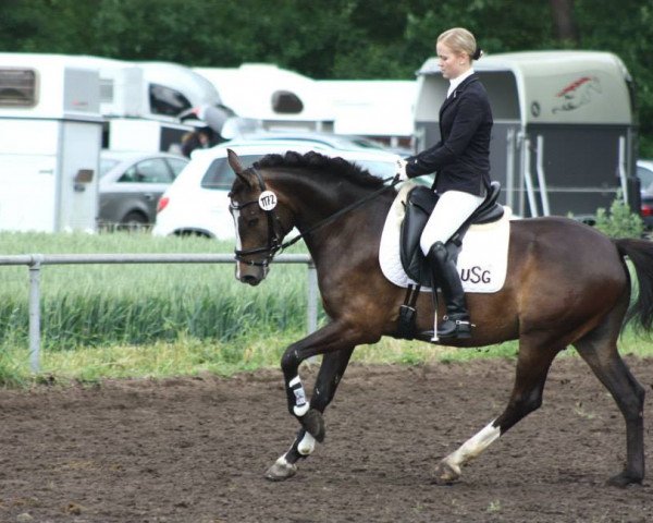 Dressurpferd Nappo G (Deutsches Reitpony, 2009)