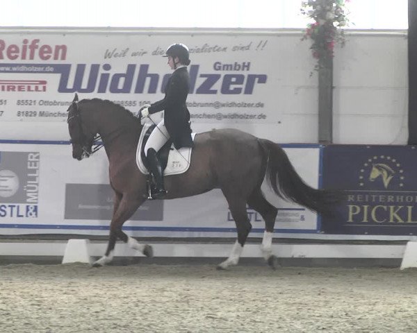 Reitturnier Karlsfeld 2022