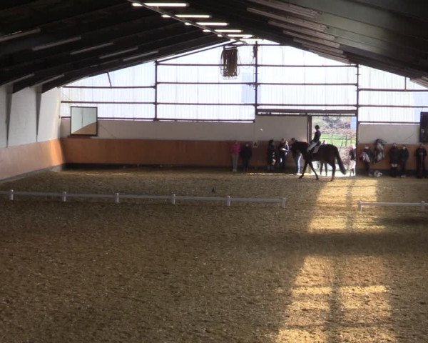 Reitturnier Datteln 2022