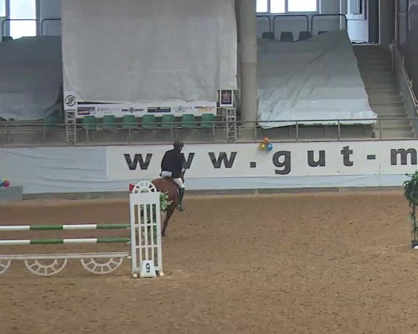 Reitturnier Kreuth 2022