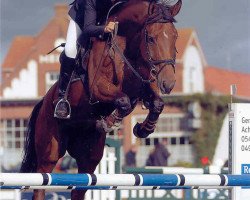 broodmare Lucill Marie (Hanoverian, 1997, from Linaro)