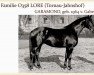 stallion Garamond (Trakehner, 1964, from Gabriel)