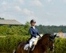 dressage horse Don Bravour (Westphalian, 2012, from Deveraux 3)