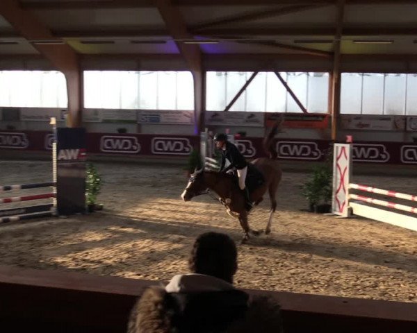 Reitturnier Goch-Asperden 2022