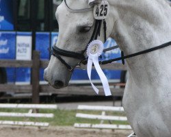 dressage horse Fine for me 2 (Westphalian, 2005, from Florestan I)