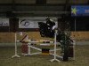 jumper Le Clou 14 (German Riding Pony, 1994, from Lucky Strike)