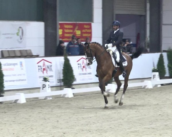 Reitturnier Karlsfeld 2022