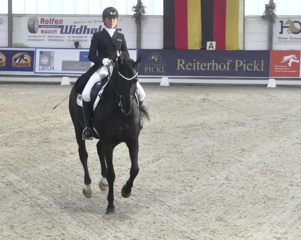 Reitturnier Karlsfeld 2022