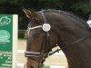 dressage horse Le Beau T (Rhinelander, 1999, from Laureatus)