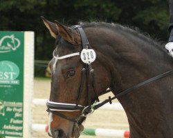 dressage horse Le Beau T (Rhinelander, 1999, from Laureatus)