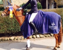 dressage horse Na Also (German Riding Pony, 2004, from Notre d'Amour)