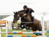 jumper La Vinia 2 (German Sport Horse, 2004, from Lorenziano)