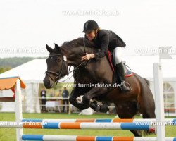 jumper La Vinia 2 (German Sport Horse, 2004, from Lorenziano)