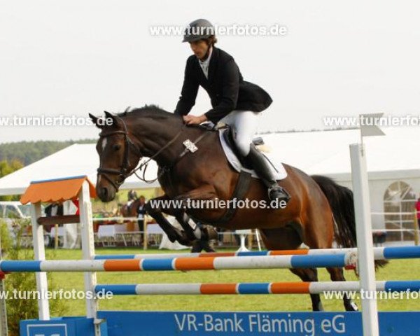 jumper Bounty (German Sport Horse, 2005, from Blackstone I)