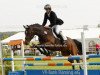 jumper Bounty (German Sport Horse, 2005, from Blackstone I)