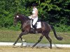 dressage horse Flash 273 (Hanoverian, 2010, from Fabregas)