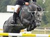 jumper Curtis 59 (German Sport Horse, 2008, from Canturo)