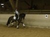 dressage horse Buffon HS (German Riding Pony, 2006, from Benetton S)