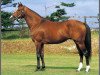 stallion Miracle Admire xx (Thoroughbred, 1995, from Tony Bin xx)