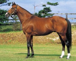 stallion Miracle Admire xx (Thoroughbred, 1995, from Tony Bin xx)