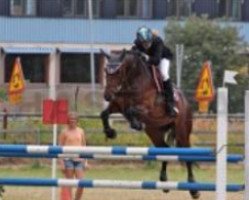 jumper Bjennesby Adele (Connemara Pony, 2008, from Poetic Justice)