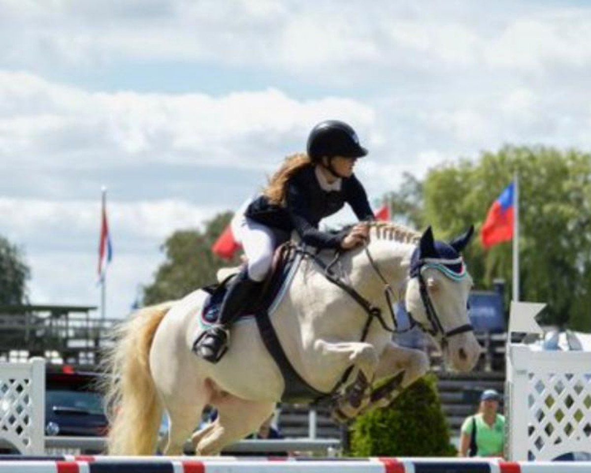 jumper Poetic's Blond Pearl (Swedish Riding Pony, 2003, from Poetic Justice)