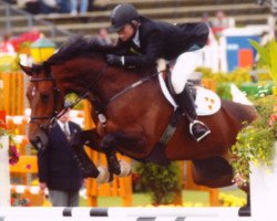 broodmare Armonia La Silla (Holsteiner, 1997, from Acord II)