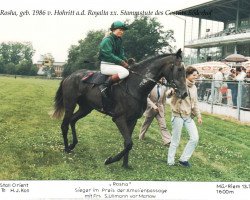 broodmare Rosha xx (Thoroughbred, 1983, from Hohritt xx)