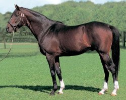 stallion Tokai Teio xx (Thoroughbred, 1988, from Symboli Rudolf xx)