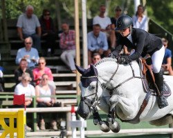 jumper Sienna Sn (Swedish Warmblood, 2011, from Bravour)