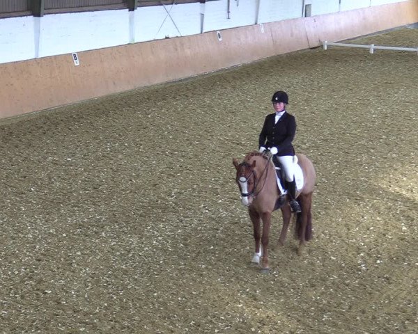 Reitturnier Datteln 2022
