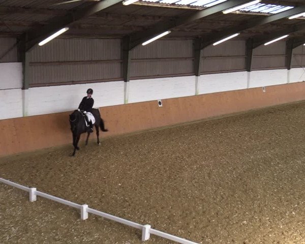 Reitturnier Datteln 2022