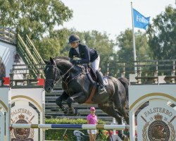 jumper Skylander Vs (Swedish Warmblood, 2014, from Stolzenberg)