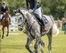 jumper Cornell 27 (Oldenburg show jumper, 2016, from Come And Fly)