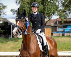 jumper Christmas (Hanoverian, 2010, from Cloney)