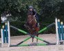 dressage horse Cinabella (German Sport Horse, 2006, from Cincinatti)