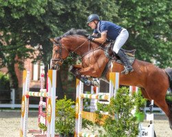 Springpferd Leading Leo (Holsteiner, 2011, von Lordanos)