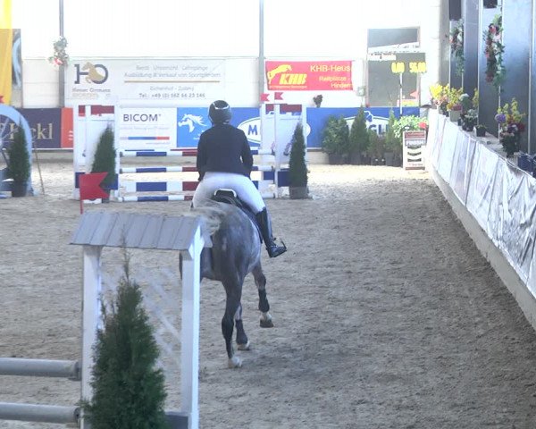Reitturnier Karlsfeld 2022