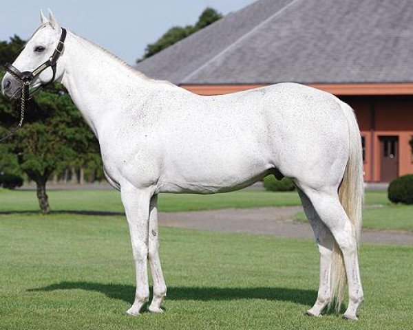 stallion Swept Overboard xx (Thoroughbred, 1997, from End Sweep xx)