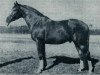 stallion 165 Przedswit VII-4 (Przedswit, 1925, from Przedswit VII)