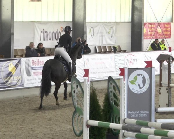 Reitturnier Karlsfeld 2022