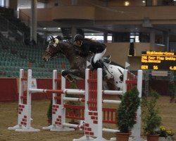 Springpferd Fair Play Spotty (Irish Sport Horse, 1993)