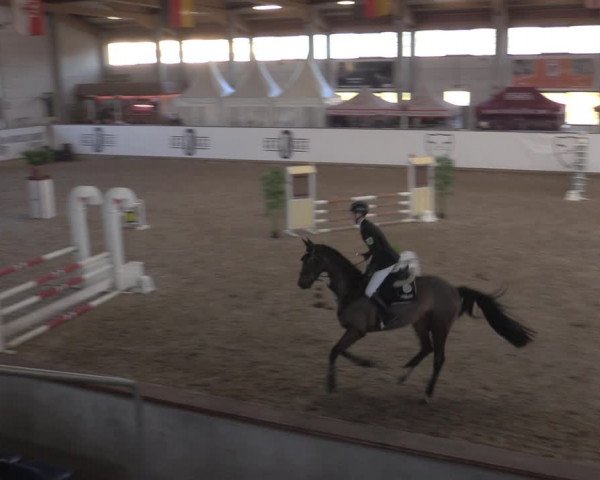 Reitturnier Prussendorf 2022
