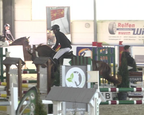 Reitturnier Karlsfeld 2022