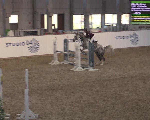 Reitturnier Prussendorf 2022
