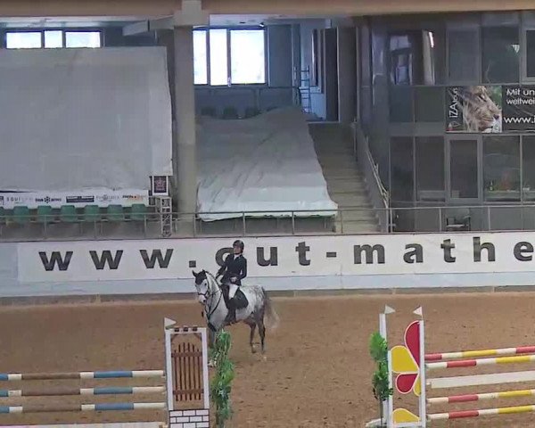 Reitturnier Kreuth/Opf. 2022
