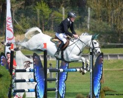 stallion Don Carlos 185 (German Riding Pony, 2005, from Douglas)