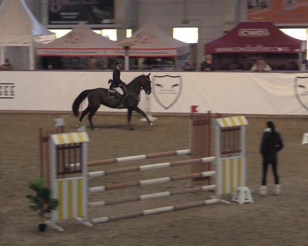 Reitturnier Prussendorf 2022